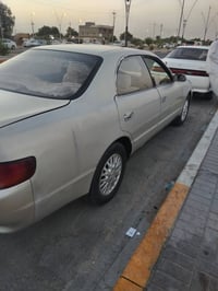 شيزر نفخ • بصرة • سنوية ٢٠٢٧