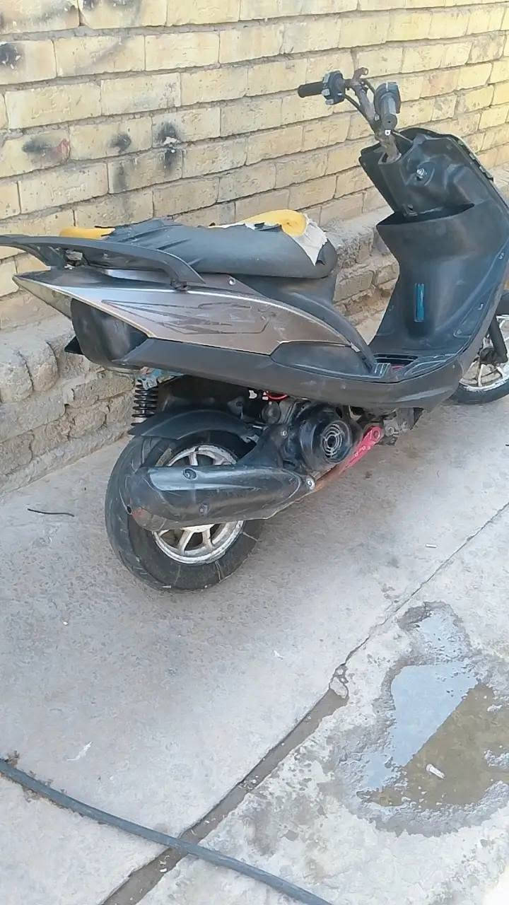 شغالة • كلج امامي • ٢٥٠