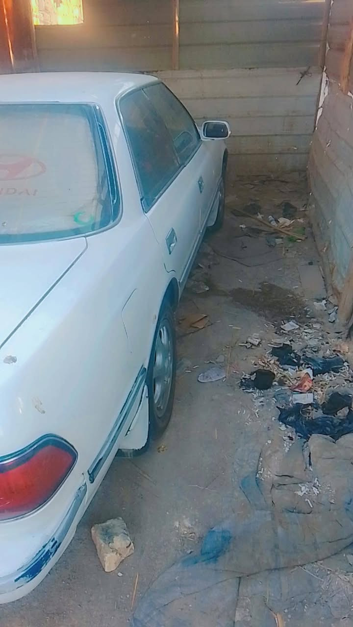 السلام عليكم 
مارك للبيع موديل ١٩٩٢
رقم نجف سنويه ل ٢٩
تحويل ثاني يوم 
مفوله من الكصه والضربه
السعر ٥٢ *********** العنوان كربلاء منطقة فريحه قرب جامع ابو طالب
