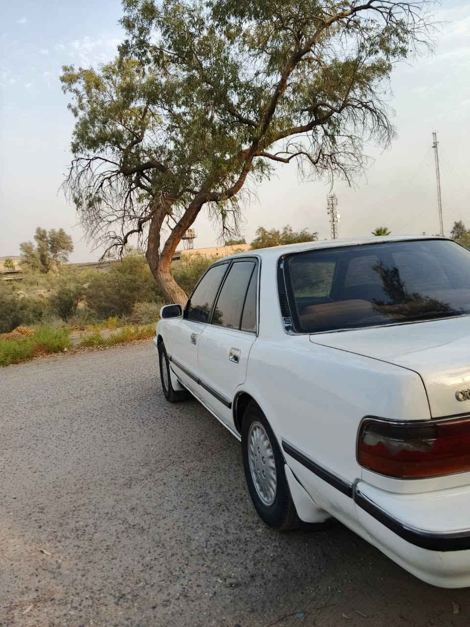 السلام عليكم مارك كربلائي للبيع.  مكفوله من كص ونقل رقم بصره  مكينه ونجي تحويل مباشر السعر$45 أنه مكلف بنشر العنوان البصره 
الرقم الهاتف ،،***********

