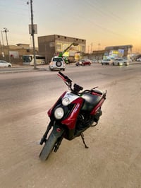 سكنس جبلي • تخم كامل • لايت زنون