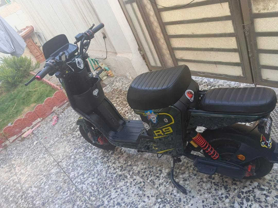 *********** بغداد, العراق
