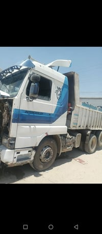بطه 13 • ستندر • بدون صبغ