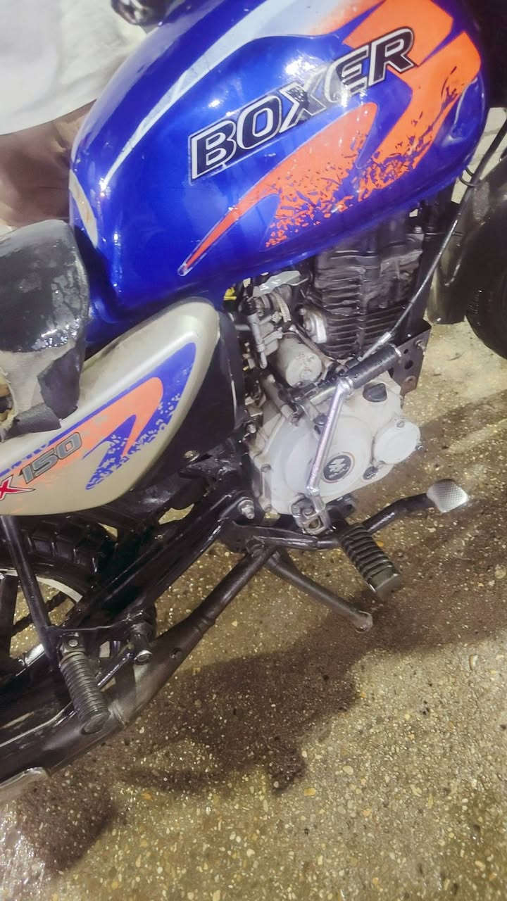 بوكسر 22 • جبلي • نضيفه