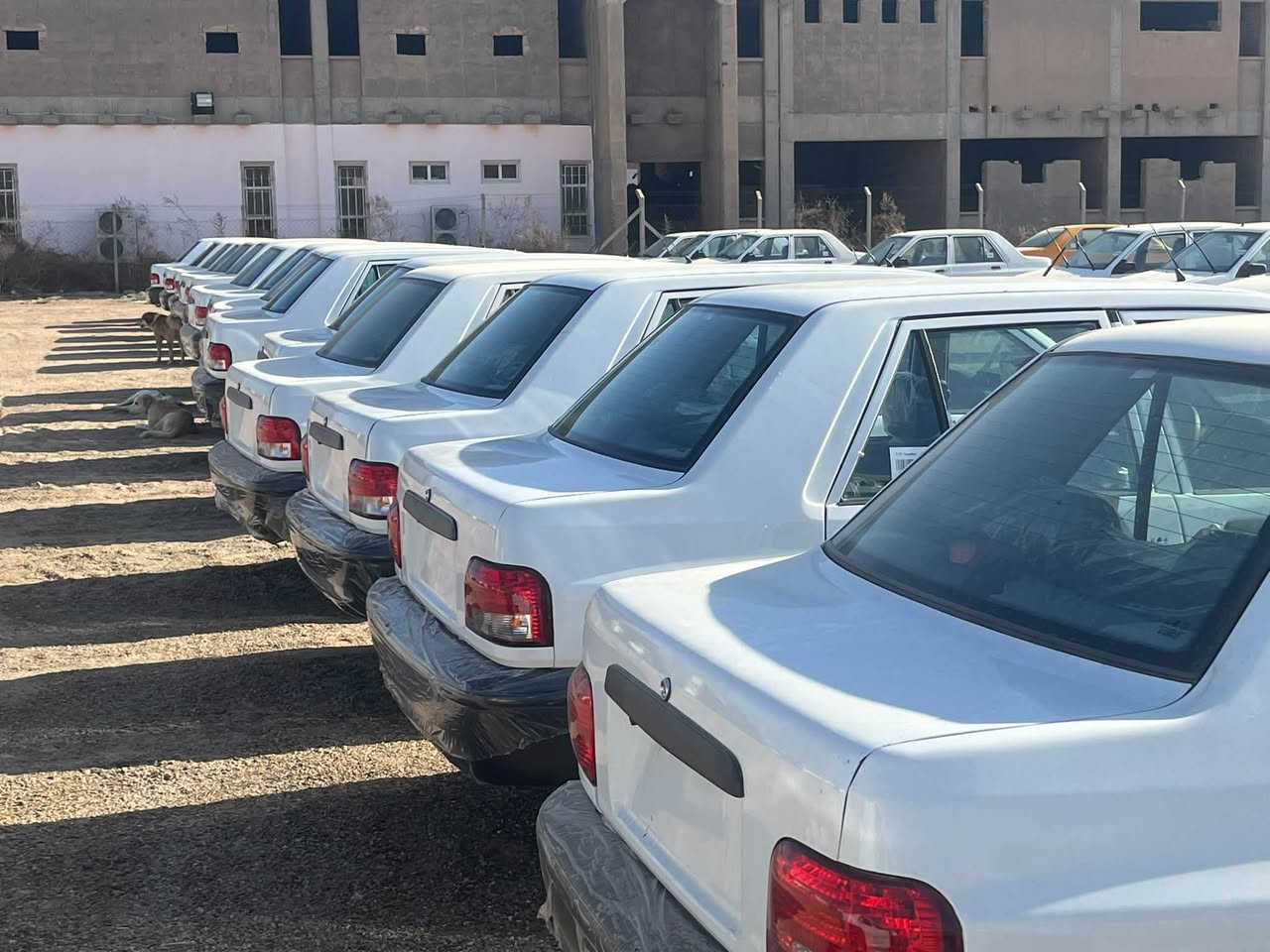 سايبه • زيرو • بدون لوحات