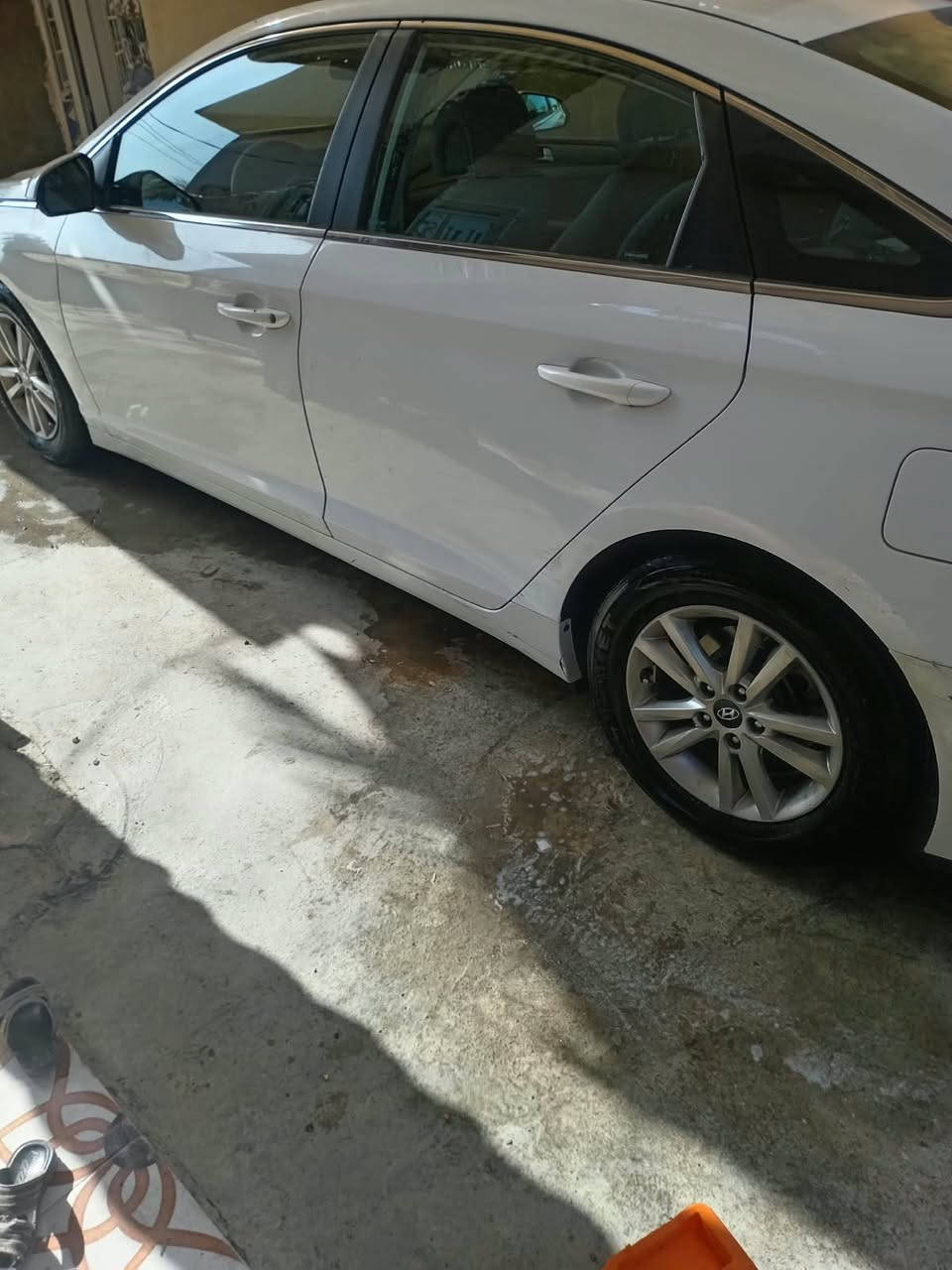 سوناته ٢٠١٥ • وارد امريكي • ديالى دلعباس