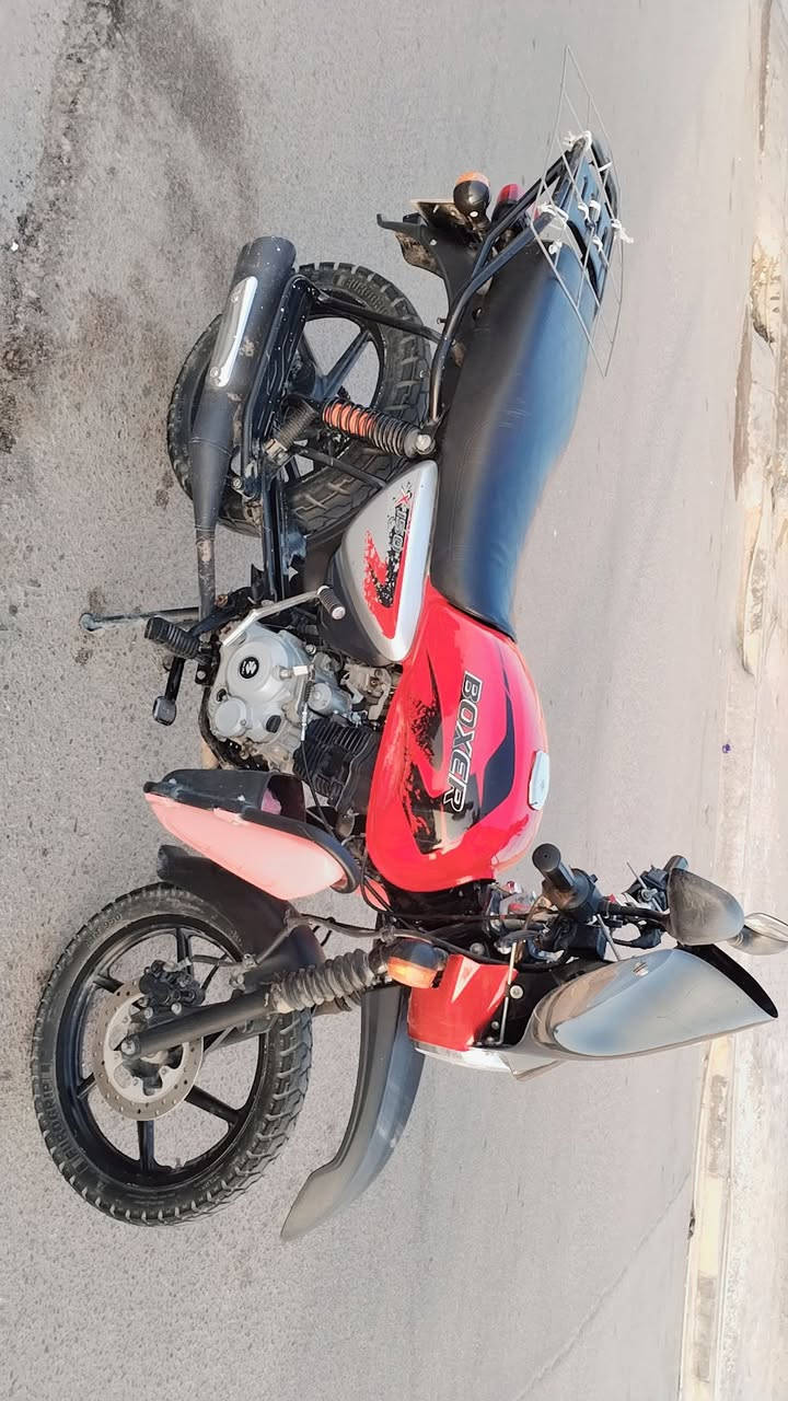 بوكسر جبلي • ٢٣ • مكفوله سنويه