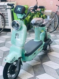 باسكل • ١٤ • دوانيه دغاره