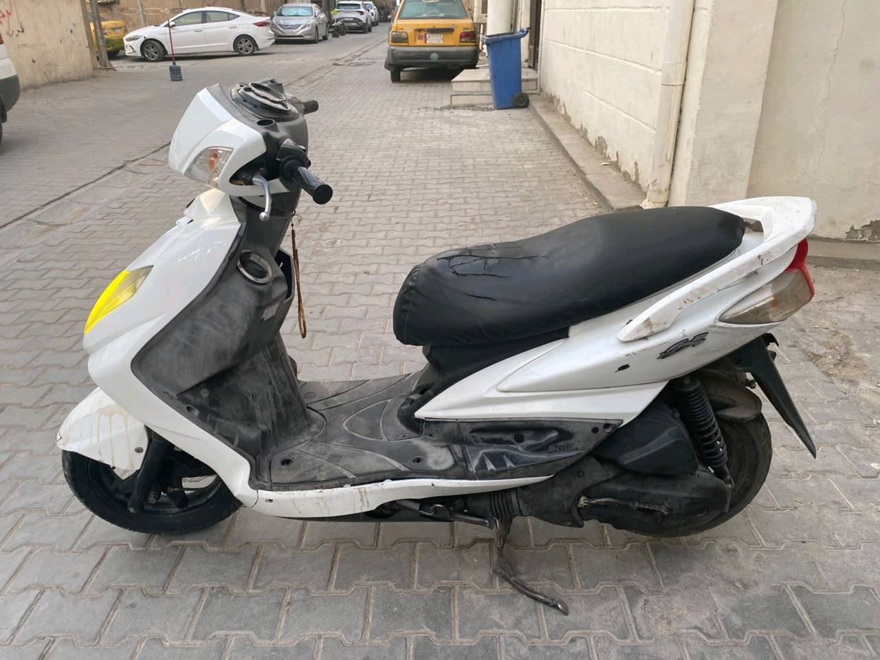سكنس فحل • نوزل • ياباني