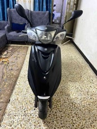 ببغاء • سكليتر • نضافه