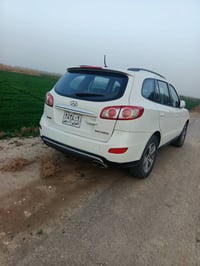 ٢٠١٢ • رقم اربيل • ٧ راكب