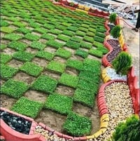 ثيل ديالى • طبيعي • توصيل محافظات