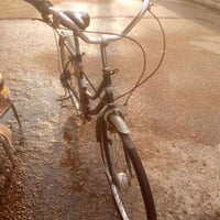 باسكال • حجم 26 • البياع الشرطة الخامسة
