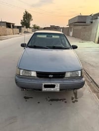 اكسله • 1993 • بدون صبغ
