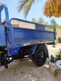 ستوته • موديل 19