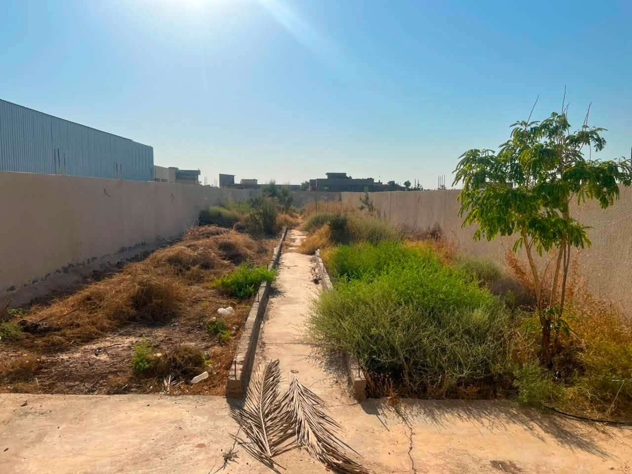سلام عليكم من رخصت الادمن ربي يحفظكم البيع  نصف دونم  الواجهة 10  والنزال 125طابو صرف في منطقة الاوسمة والنواط قرب المحطة البانزين خانة  كافت الخدمات بي بيت 200  مبني بي  نقص البيت كاشي والبخ والجام / الي متوفر بي تئسيس مي مجاري كهرباء مي ٤ خطوط  السعر  350 الاتصال *********** ابو علي الساعدي ابو البيت
