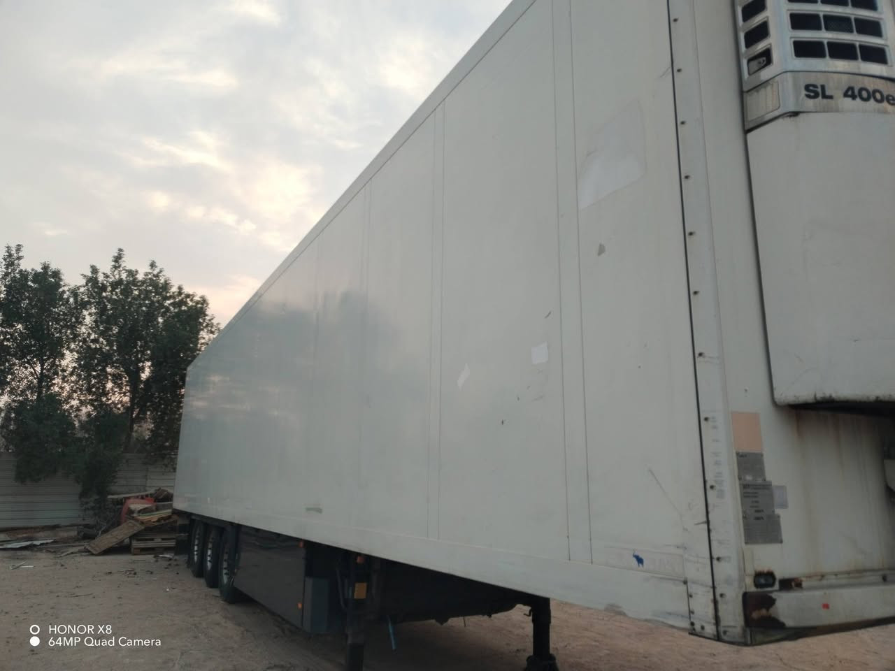 براد منفيس • دخول جديد • سمك ٧