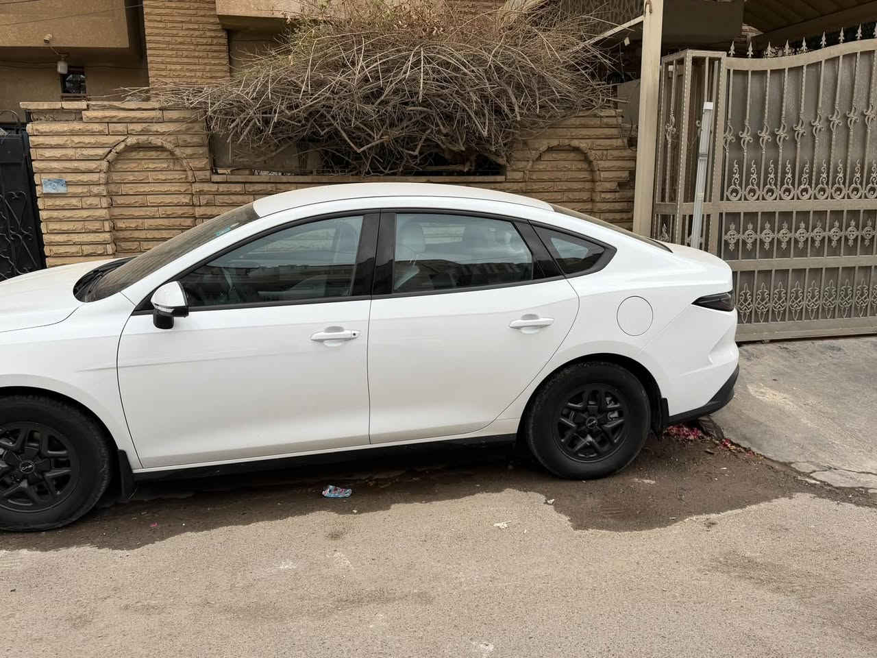 سيل ٥ • ٢٠٢٥ • كفالة عامة