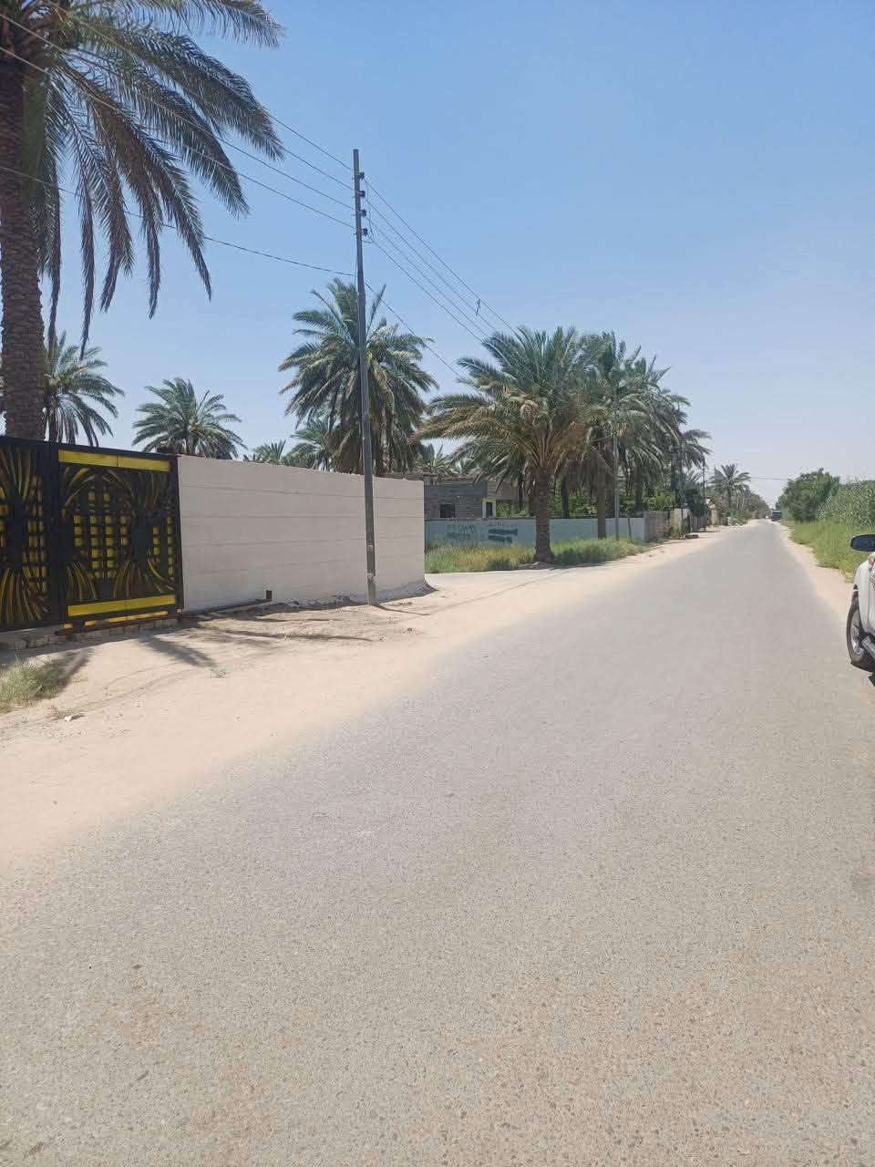 بسواده رشديه • ٥٠٠م • طابون سند ٢٠٢٥
