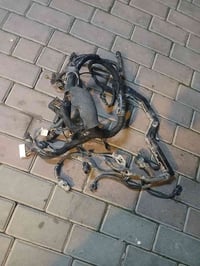 ضفيره • اكسنت • توماتك