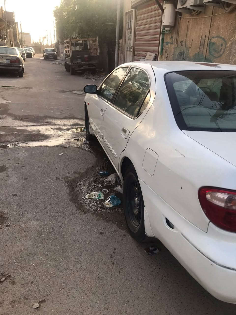 ماكسيما • ٢٠٠٨ • بدون صبغ