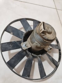 شغالات • بغداد
