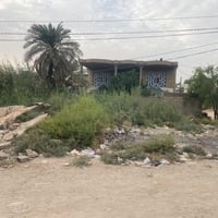 الكوفه جسر الامام علي • ارض زراعيه • ركنين على شارعين