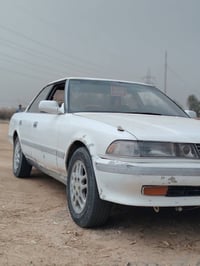 مراوس • نزل