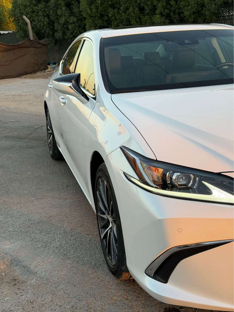 السلام عليكم اخوان عندي هايبرد Lexus ES
300
2025 وارد امريكي لون ابيض صدفي ضرر
جنطة وجاملغ ماشية 7 الف ميل زيرو المواصفات هاي الفئة معرفة تحكم ستيرن تبريد قطعتين مع تبريد وتدفئة المقاعد فتحة سقف نقطة عمياء مري كهرباء انارة ترحيب دخول ذكي اربع ابواب شحن لاسلكي الداخل جلد اسود بعد بيه مواصفات السيارة نضيفة ومماشية السعر 29,000$ وبيه
مجال رقم الهاتف اضغط لإظهاررقم الهاتف
***********
متواجد واتساب المكان
بغداد السيدية بغداد, العراق
