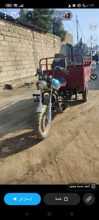 ستوته • للبيع • طوريج الحولي
