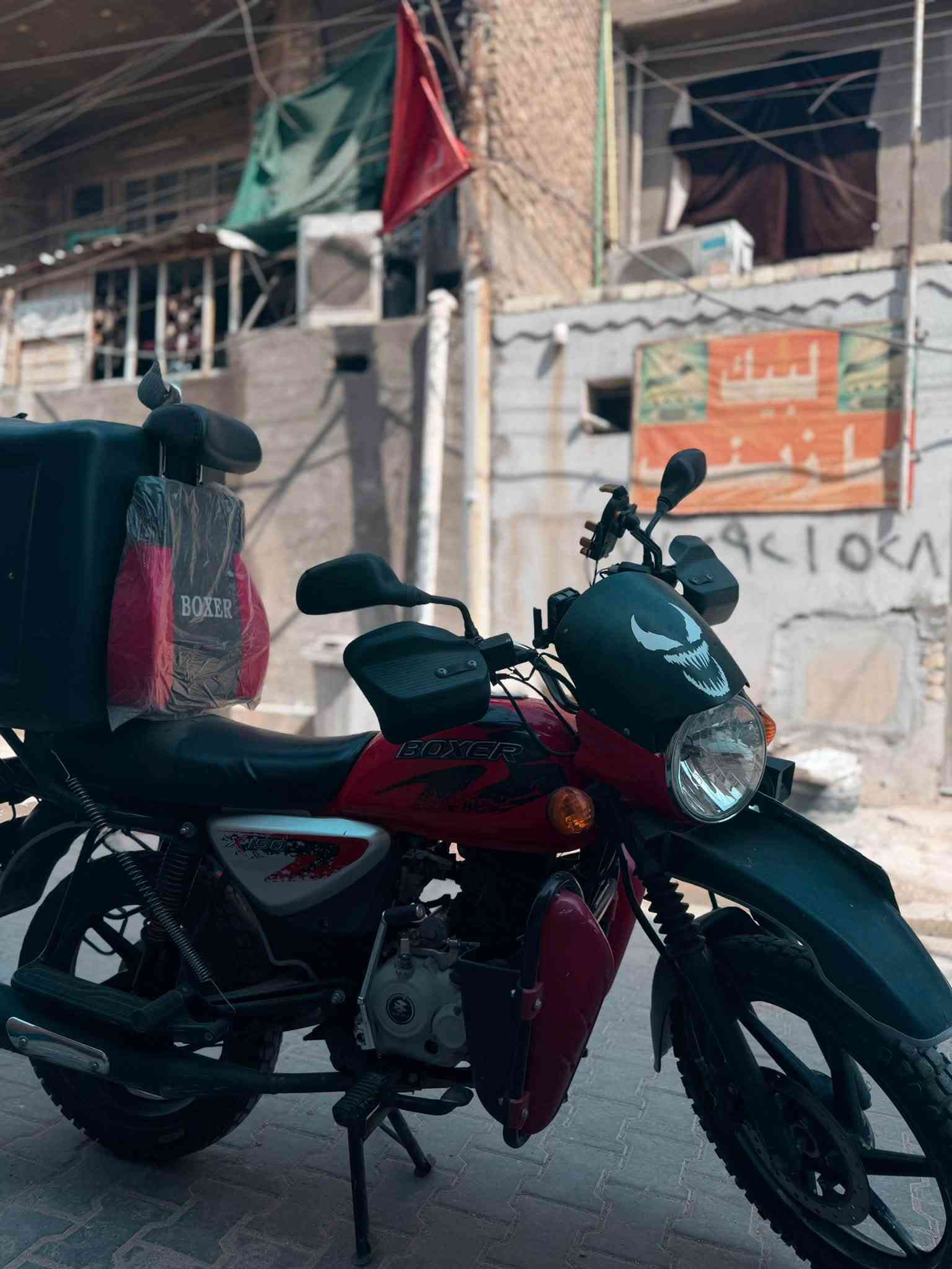 بوكسر • مكفوله • لوحة وسنوية