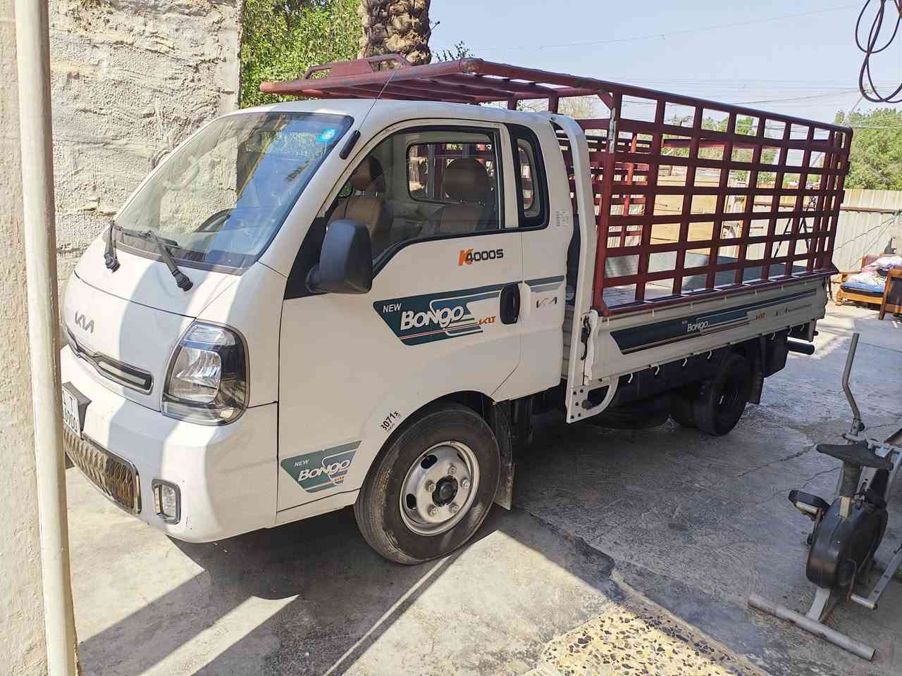 فحل لبيع موديل ٢٠٢٣
مكلف بنشر رقم تلفون ***********
