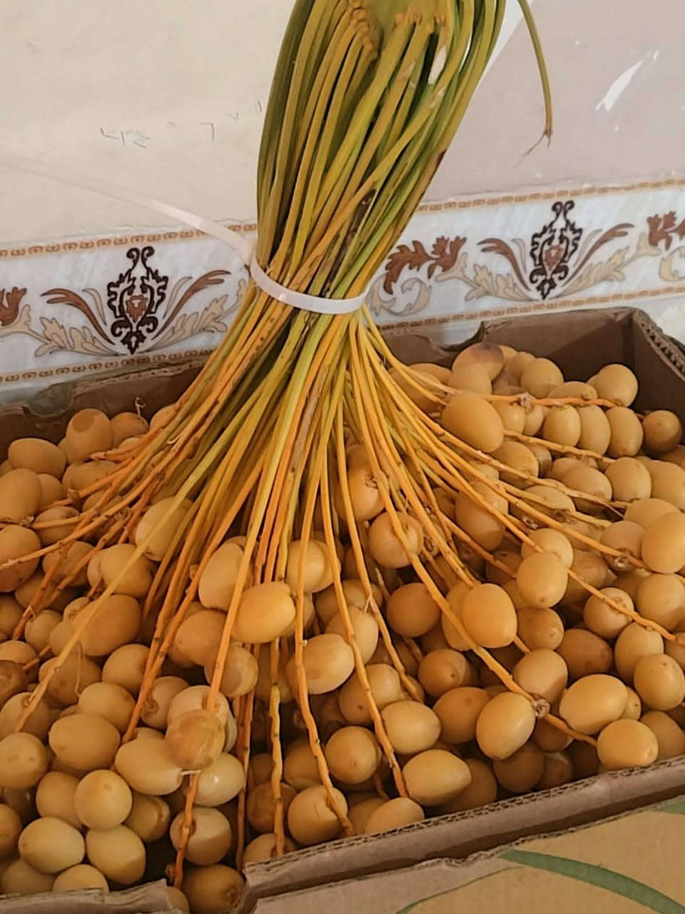برحي رطب عثك السعر كيلو الفين دينار *********** العنوان السماوه

