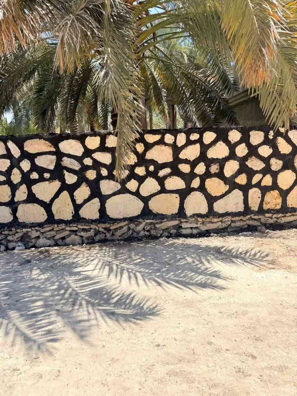 يا الله السلام عليكم بنى حجر كافي المحافظات تواصل على هذا الرقم الواتساب***********
