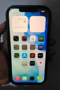 آيفون ١٢ برو ماكس • ٢٥٦ • تفصيخ