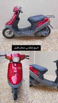 بوتين • معدل • موروني