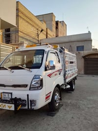 بنكو فحل • ٢٠٢٥ • ٤٦الف