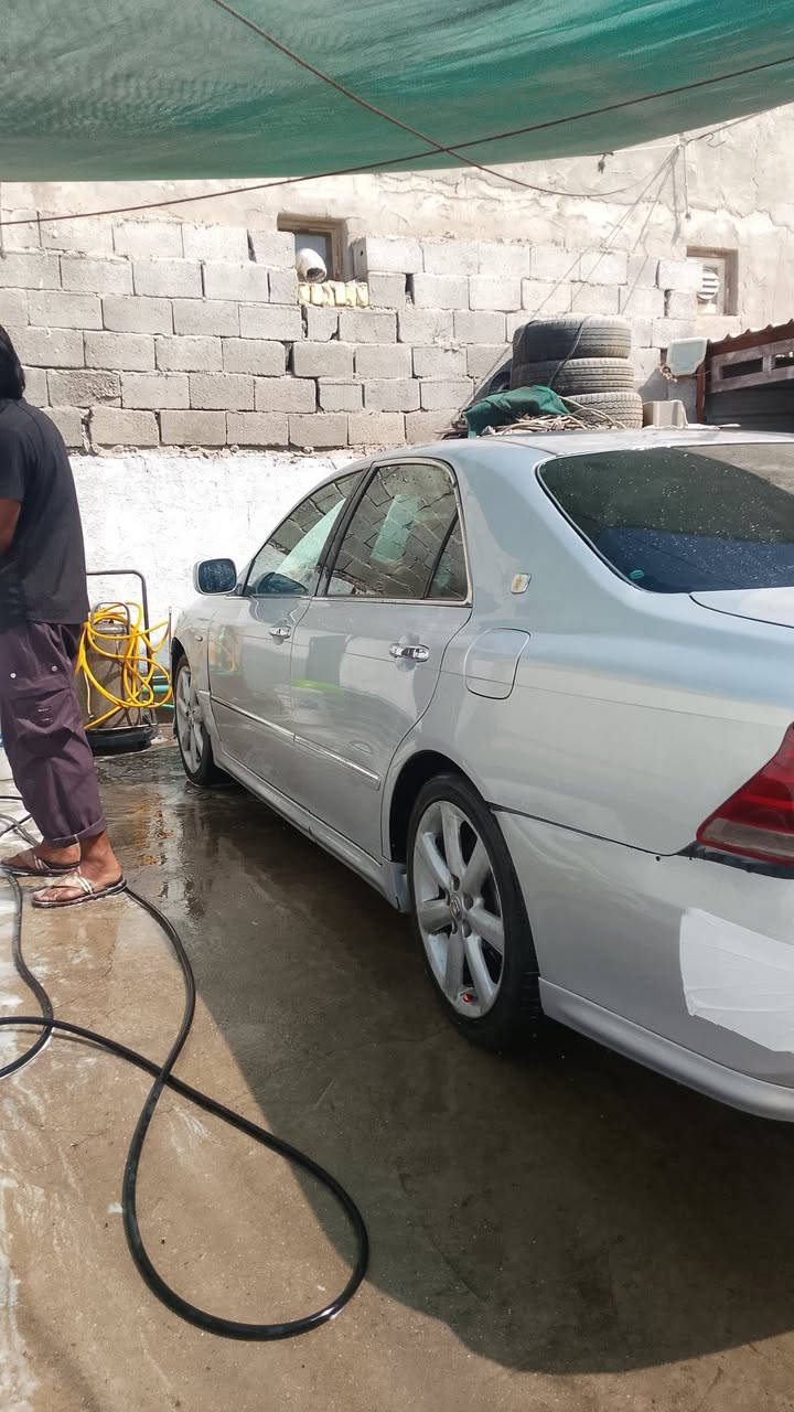 شاهين • ٢٠٠٥