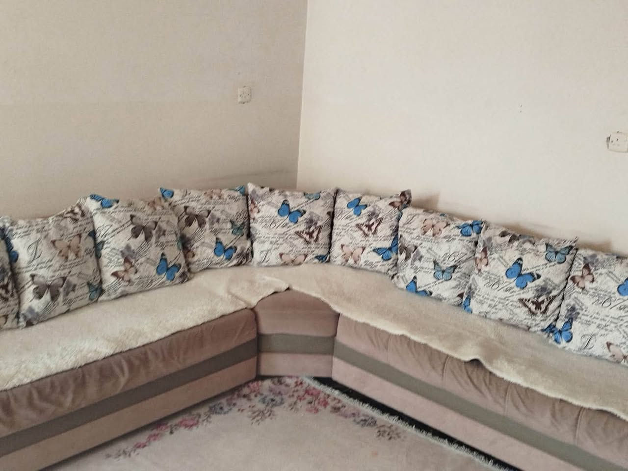قنفة • للبيع