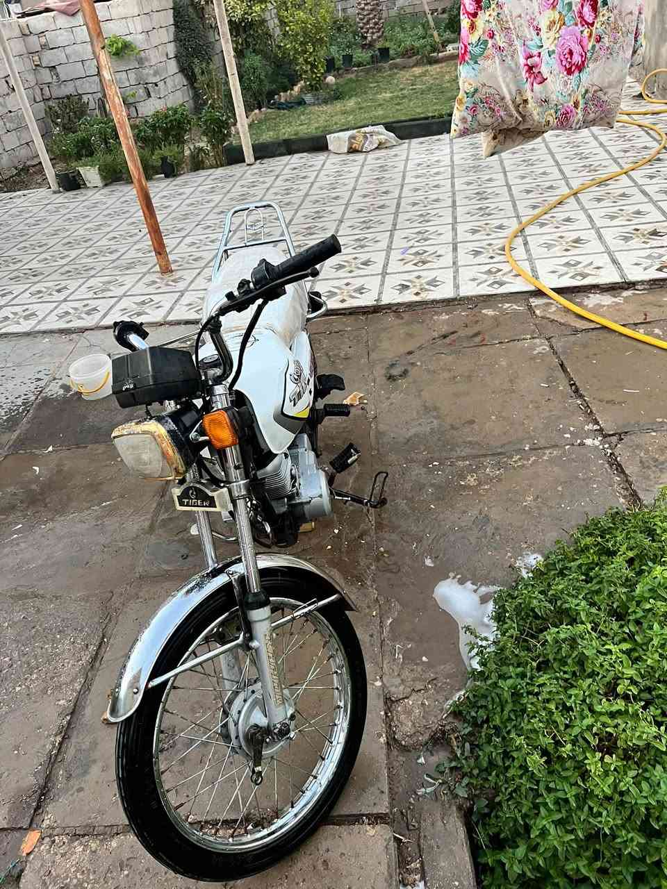 تايكر ٢٠٢٢ اوراق سكنر نهضه ومعدل لا بخار ولا تنقيص مكان ديوانيه دغاره سعر ٤٢٥ وبي مجال ***********

