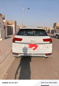 دومي صيني • ٢٠١٩ • ٧ راكب