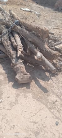 حطب • للبيع • حسب المراهم