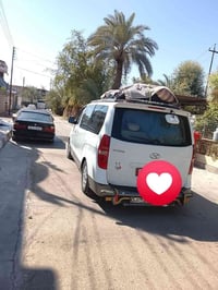ستاركس • ديالى شهربان