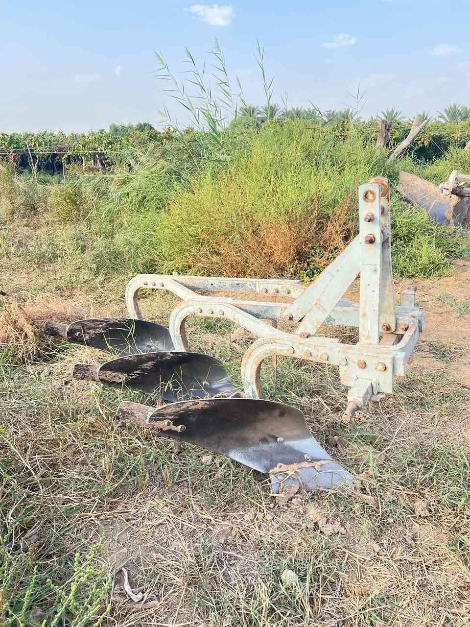 سلام عليكم فدان ثلاثي للبيع لشراي يتصل علة هاذة رقم      ‭***********‬.       ***********.    مكاني ديالى الخالص   ناي
