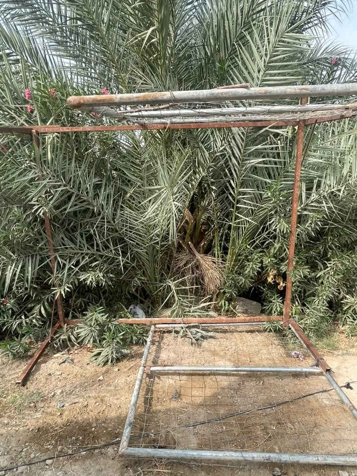 للبيع • ديكور منزلي