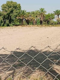 شط الغراف • ١٣ دونم • بيت ٦ غرف