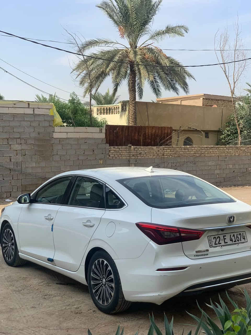 شانجان ايدو • ٢٠١٩ • رقم اربيل