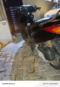 بريز ببغاء • نواقص بسيطة • بغداد الاعظمية