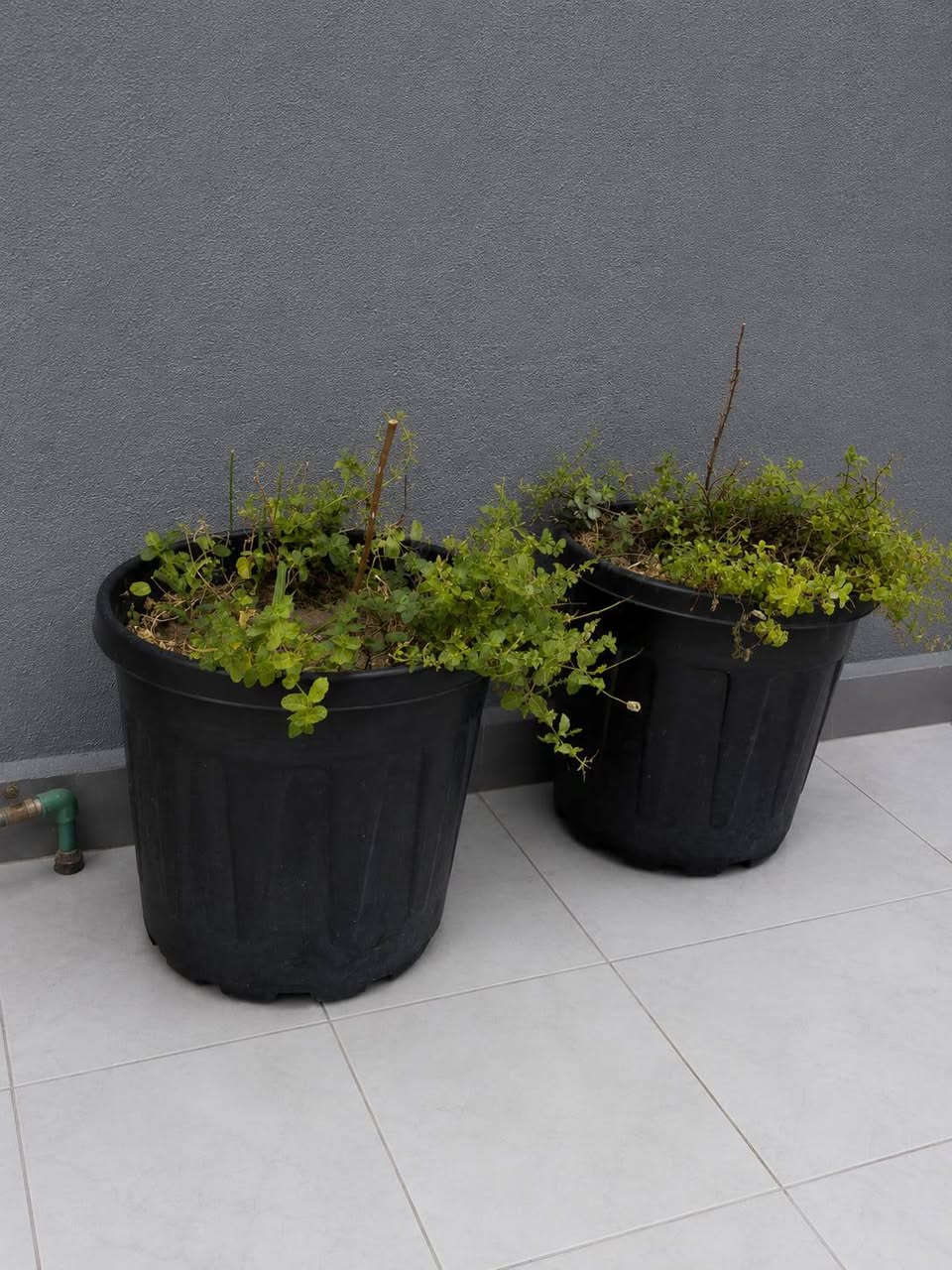 مجموعه غراض بيت للبيع في حي الوفاء غير متواجد على الفيس اتصال على الرقم بيه واتساب *********** @
