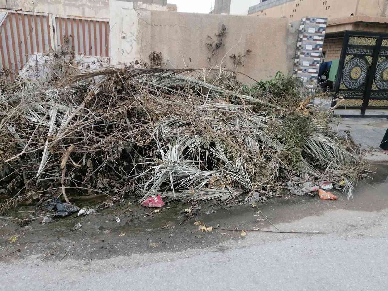 حطب مجاني • حمل تركتر • قرب جامع مصعب